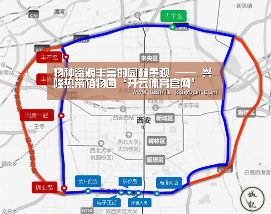 物种资源丰富的园林景观 —— 兴隆热带植物园‘开云体育官网’(图3) 开元棋牌网址