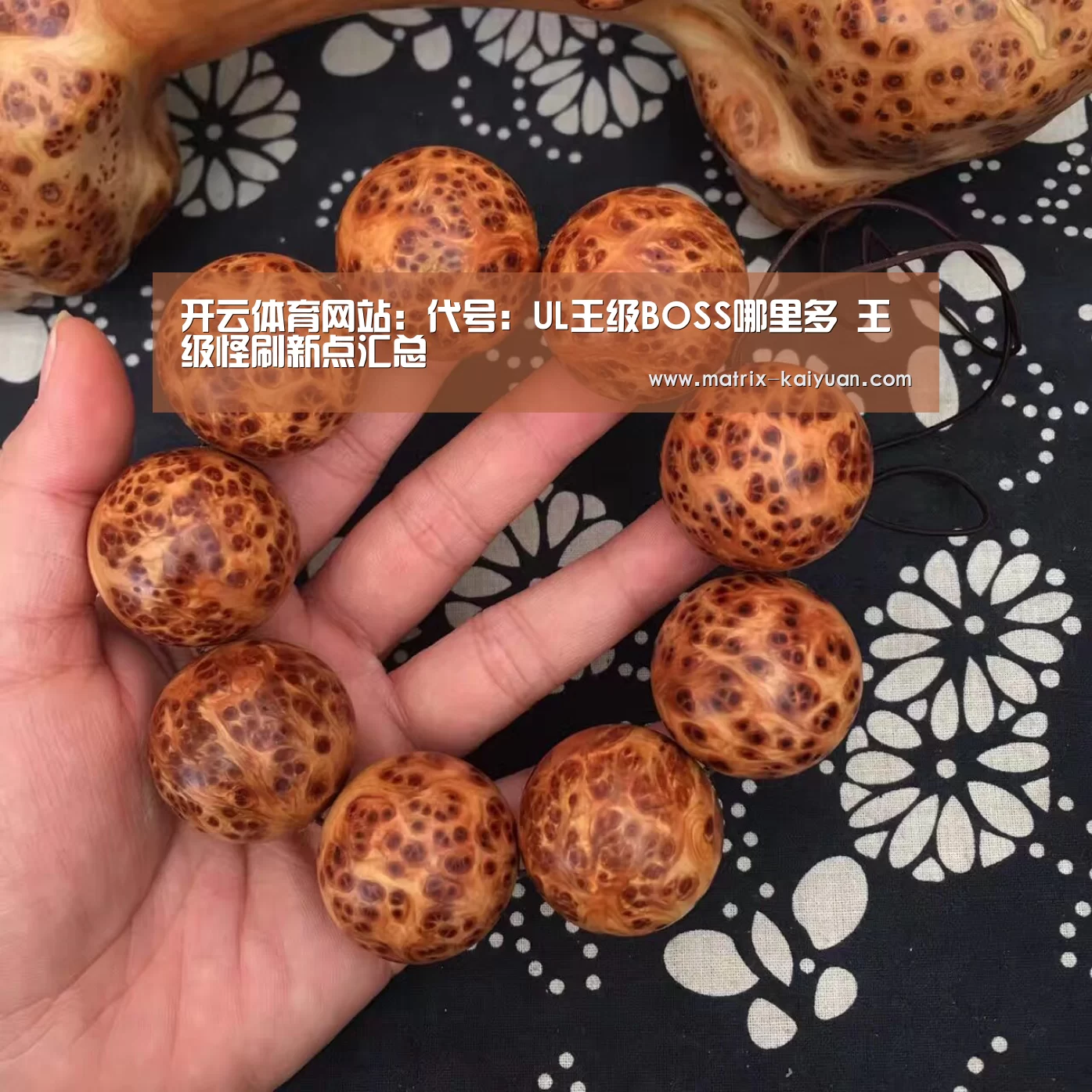 开云体育网站:代号:UL王级BOSS哪里多 王级怪刷新点汇总(图2) 开元棋牌网址