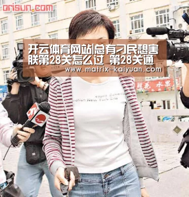 开云下载网址