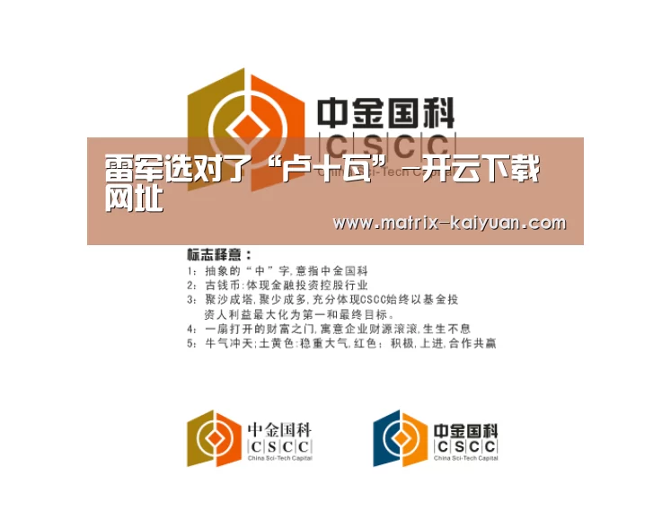 雷军选对了“卢十瓦”-开云下载网址(图3) 开云下载网址