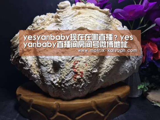yesyanbaby现在在哪直播？yesyanbaby直播间房间号微博地址_开云下载网址