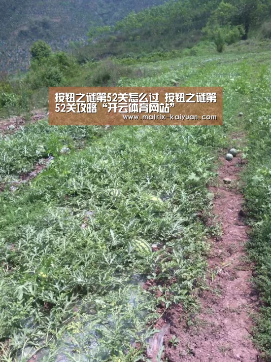 按钮之谜第52关怎么过 按钮之谜第52关攻略“开云体育网站”(图4) 开云体育官网