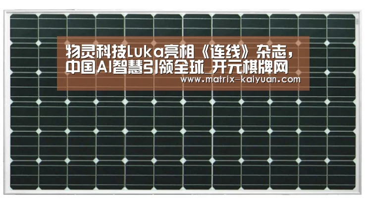 开云体育网站