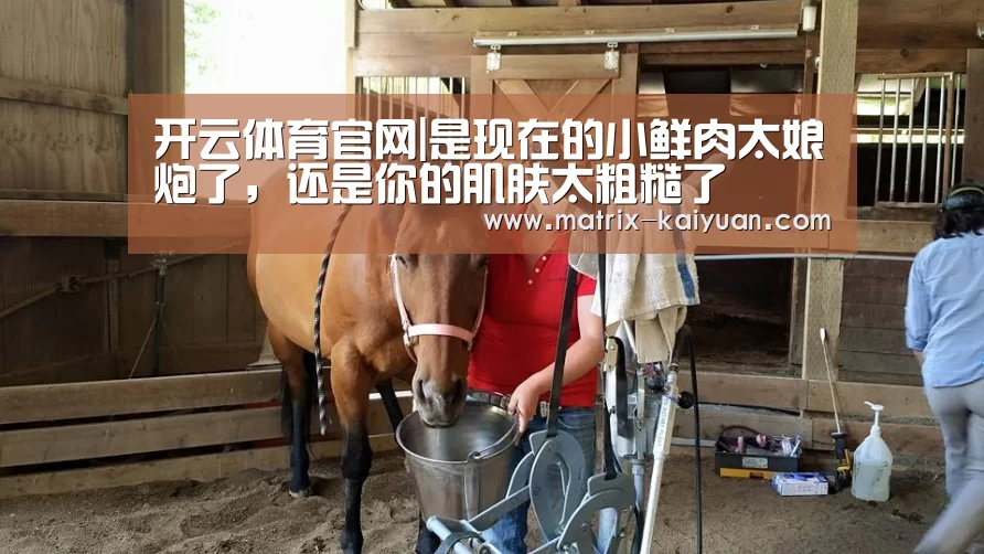 开云下载网址